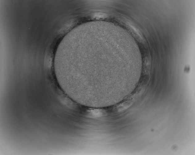 X0000103300417200809191859