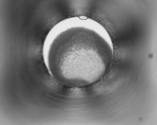 X0000103300419200809191859