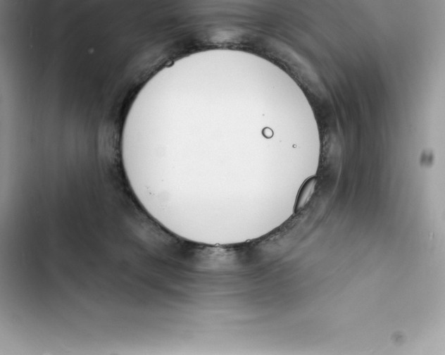 X0000103300421200809191859