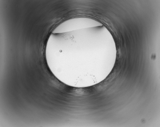 X0000103300423200809191859