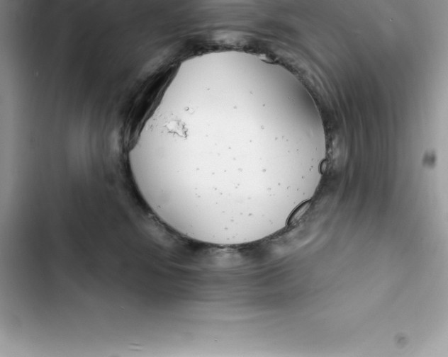 X0000103300424200809191859