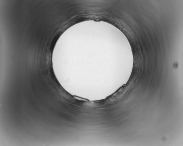 X0000103300425200809191859