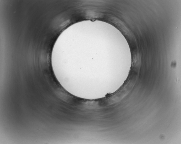 X0000103300426200809191859