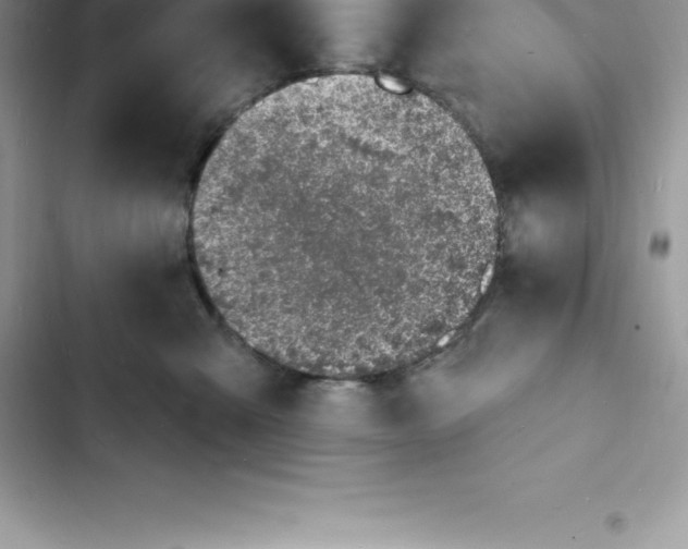 X0000103300427200809191859