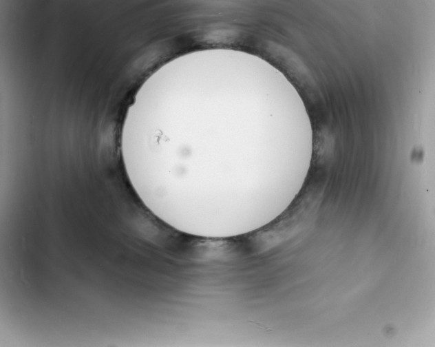 X0000103300428200809191859