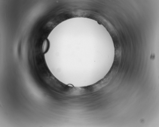 X0000103300429200809191859