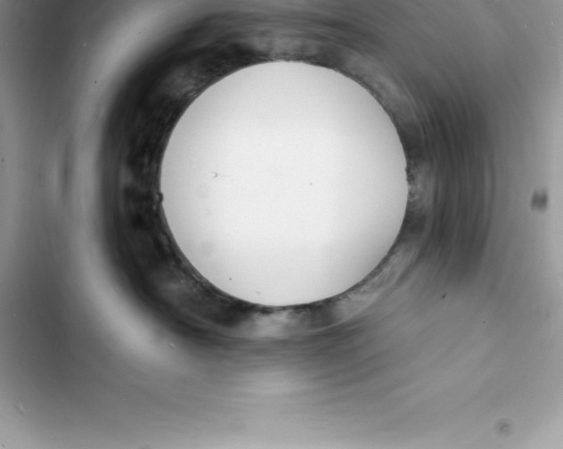 X0000103300430200809191859