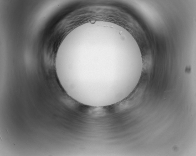 X0000103300431200809191859