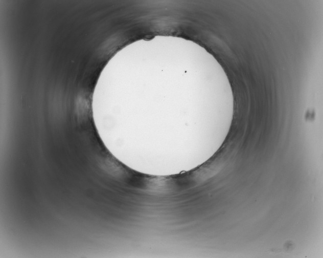 X0000103300432200809191859