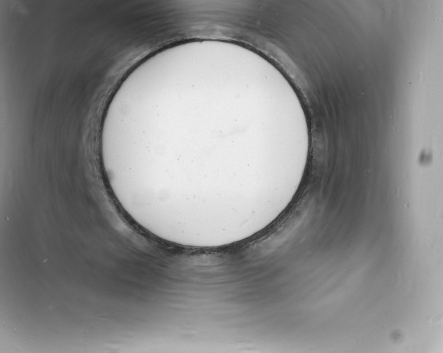 X0000103300433200809191858