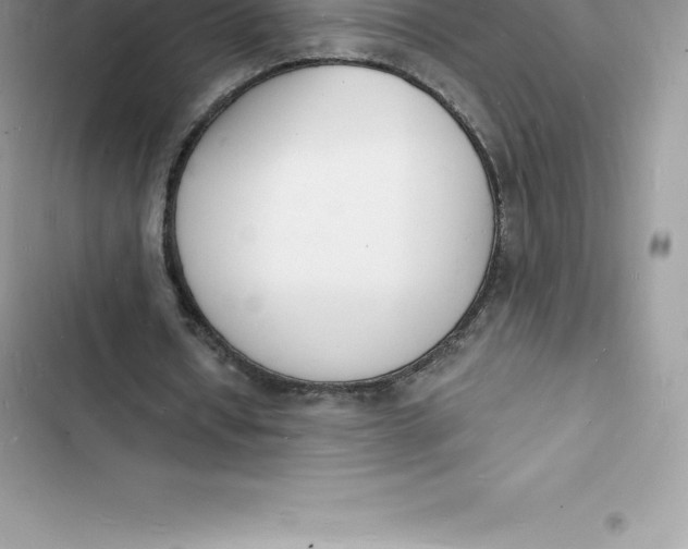 X0000103300434200809191858