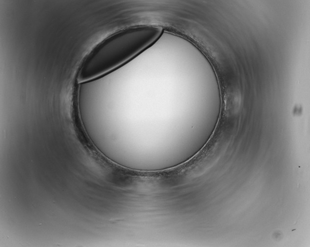 X0000103300436200809191858