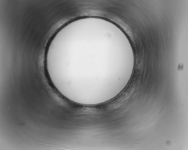 X0000103300437200809191858