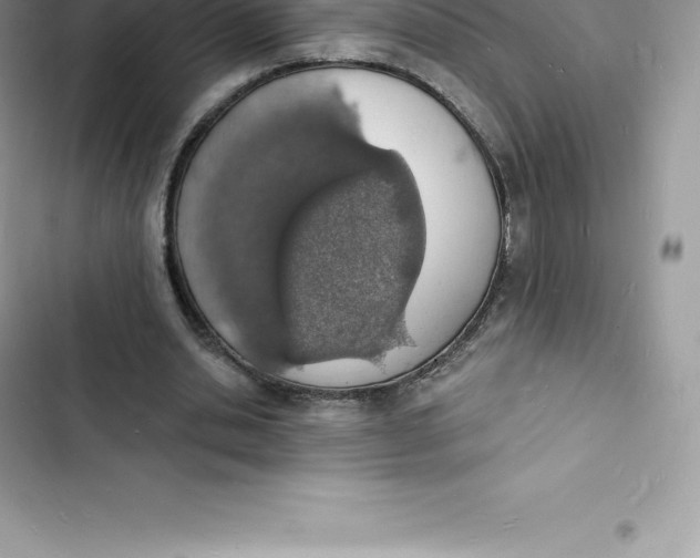 X0000103300438200809191858