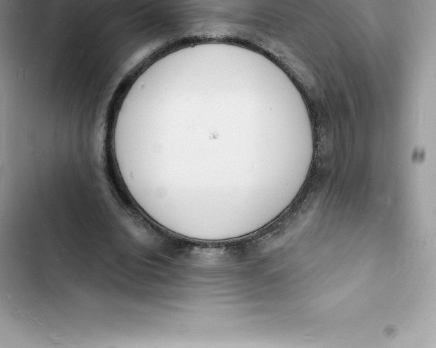 X0000103300440200809191858