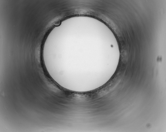 X0000103300442200809191858