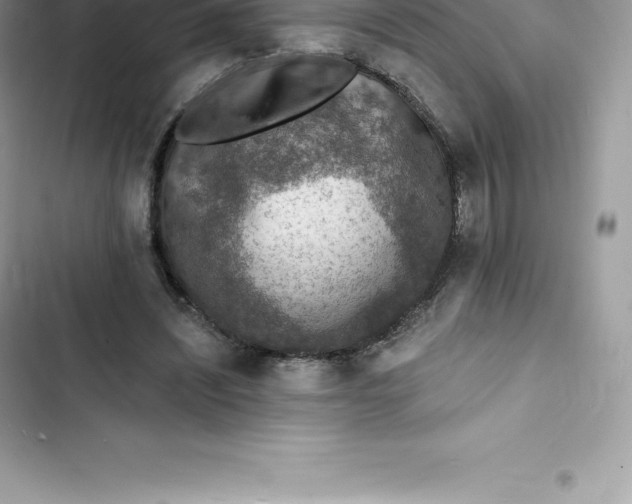 X0000103300444200809191858