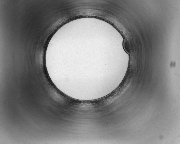 X0000103300445200809191858