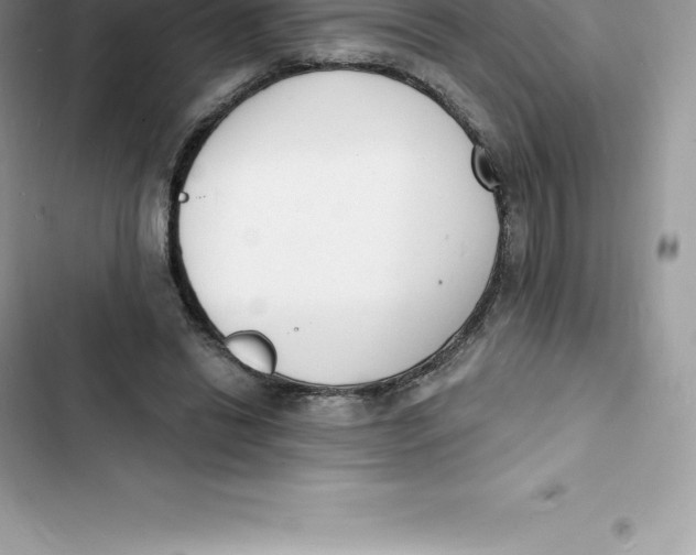 X0000103300446200809191858