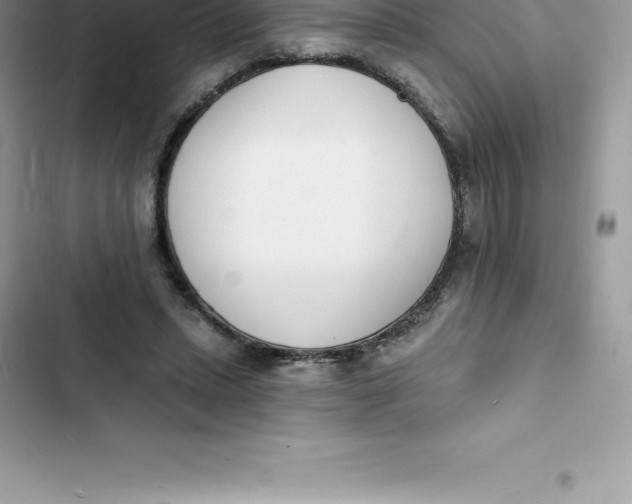 X0000103300447200809191858