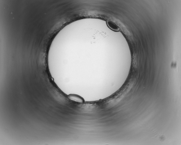 X0000103300449200809191858