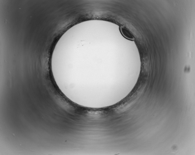 X0000103300450200809191858