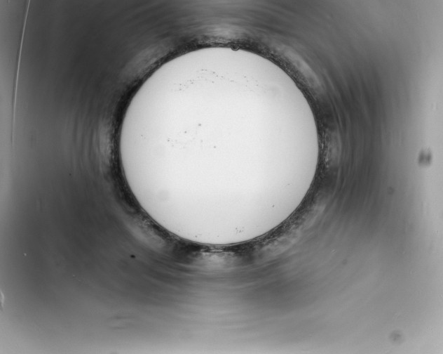 X0000103300455200809191858