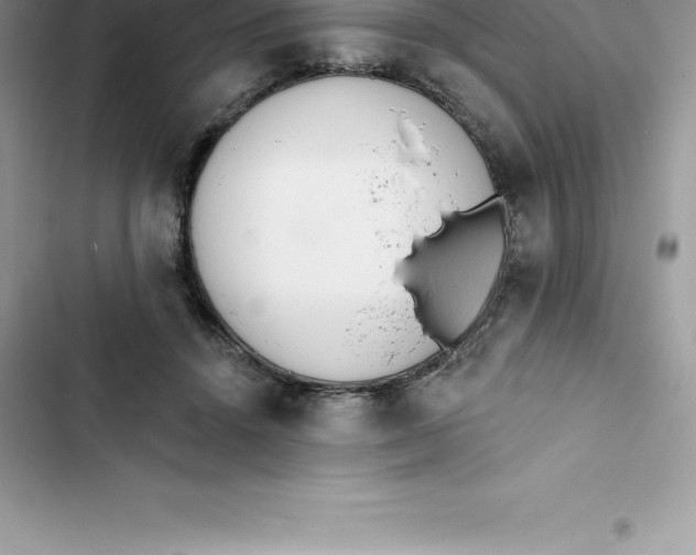 X0000103300456200809191858