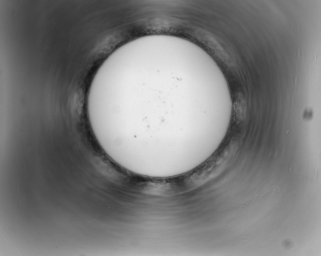 X0000103300458200809191858