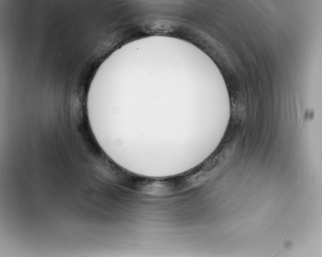 X0000103300460200809191858