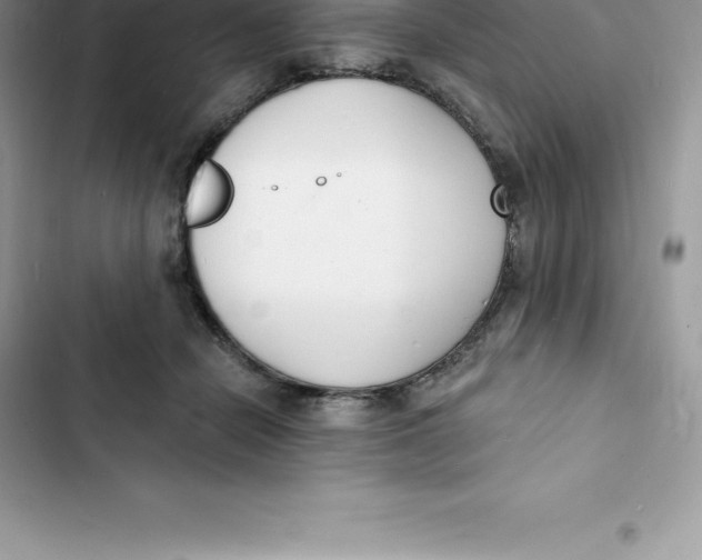 X0000103300462200809191858