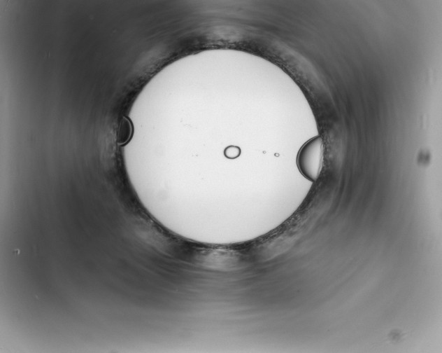 X0000103300463200809191858