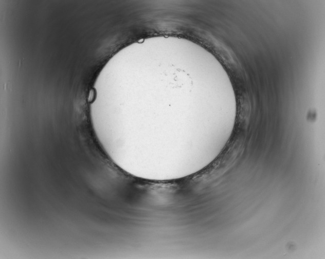 X0000103300465200809191858