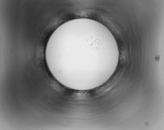 X0000103300466200809191858