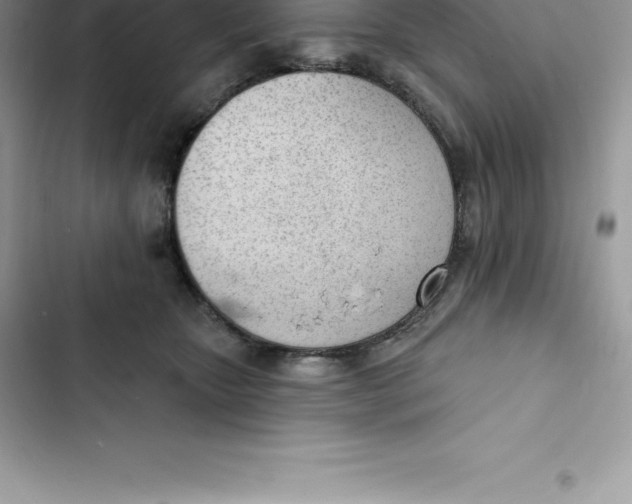 X0000103300467200809191858