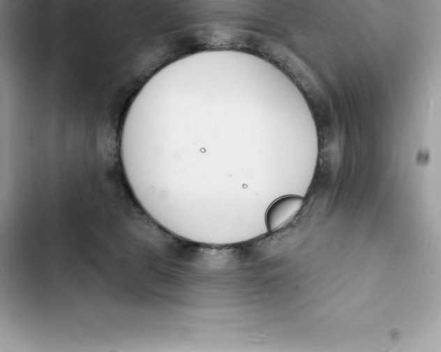 X0000103300469200809191858