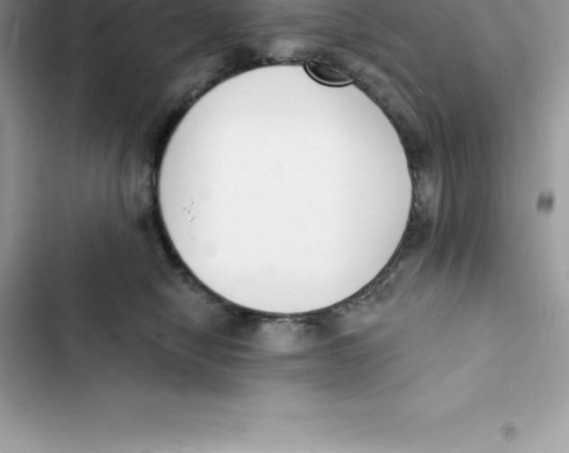 X0000103300470200809191858