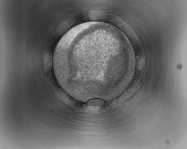 X0000103300471200809191858