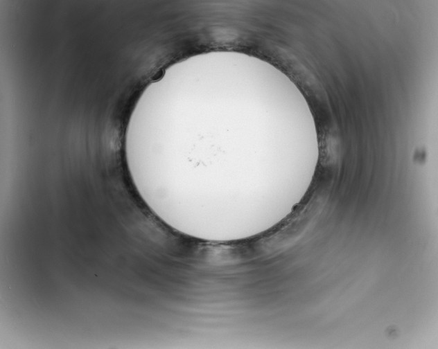 X0000103300472200809191858