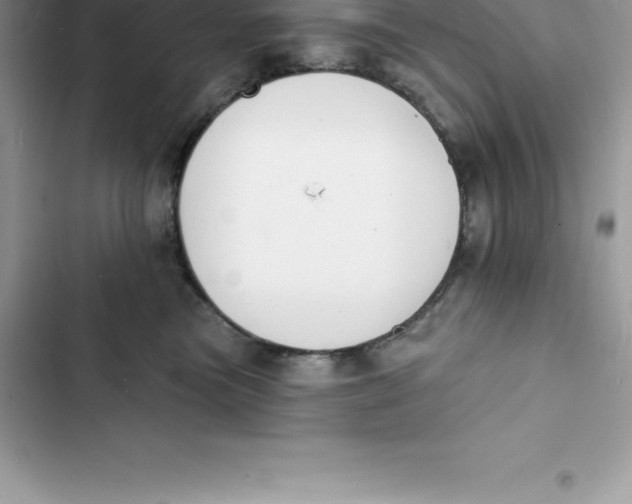 X0000103300473200809191858