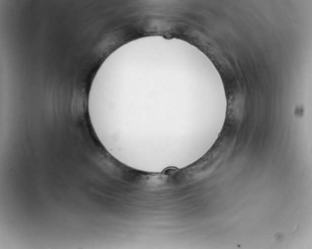 X0000103300474200809191858