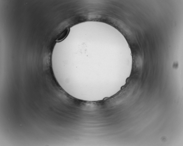 X0000103300475200809191858