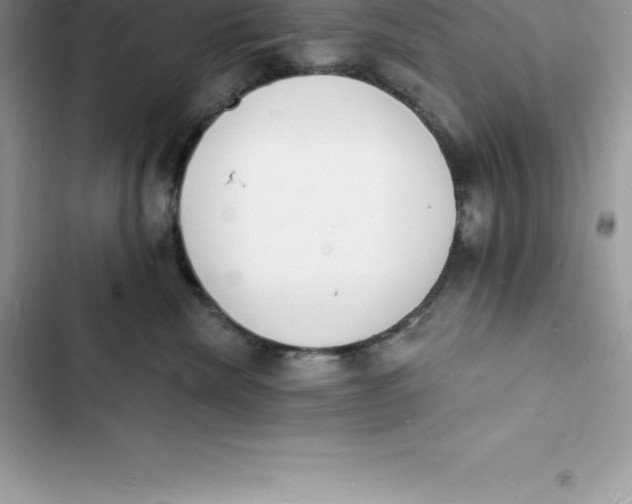 X0000103300476200809191858