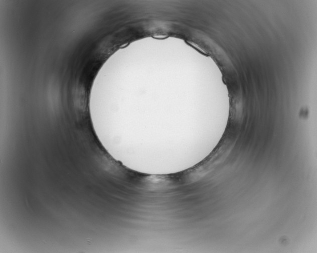 X0000103300477200809191858