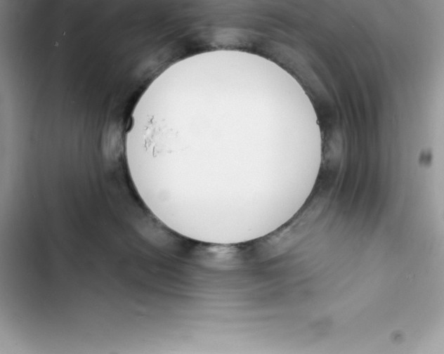 X0000103300478200809191858