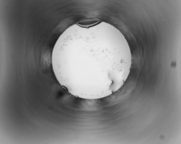 X0000103300479200809191858