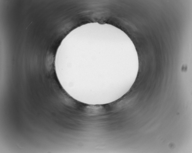 X0000103300480200809191859