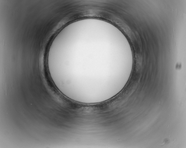 X0000103300482200809191858