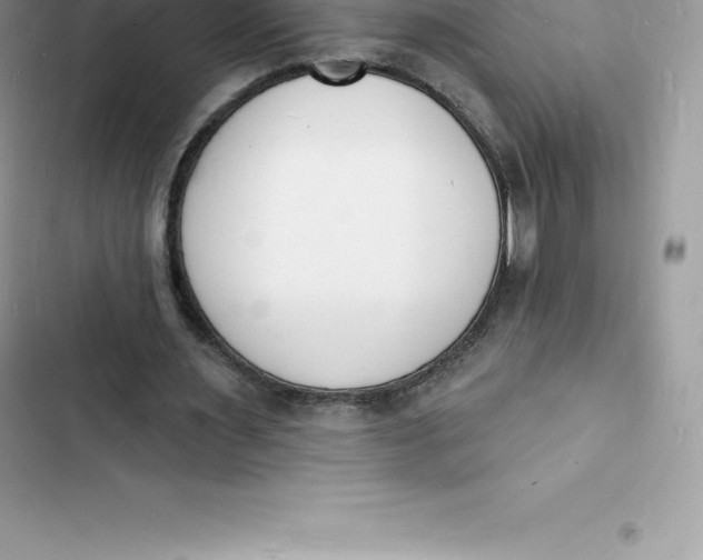 X0000103300483200809191858