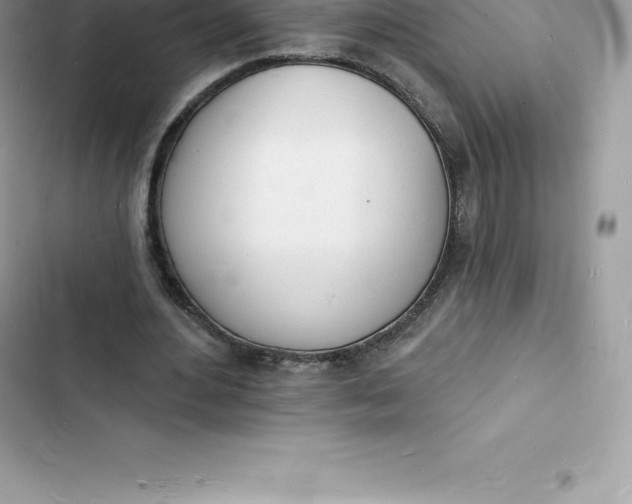 X0000103300484200809191858